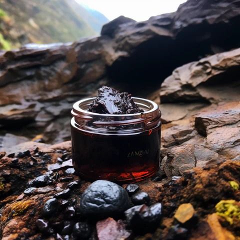 Shilajit: Tajomstvo z Himalájí